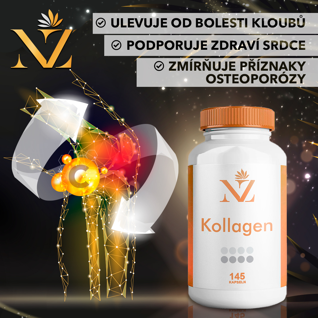 kolagen basic